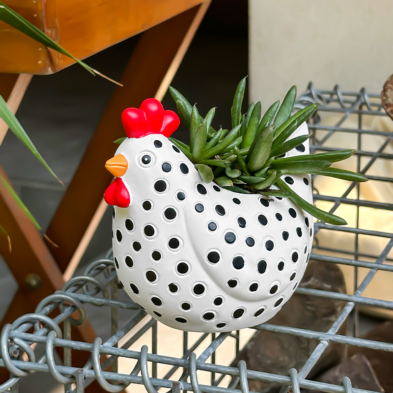 Pilea Peperomioides - Funny Spotted Chicken Flower Pot Cute