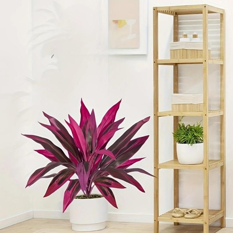 60cm Tall Artificial Dracaena  - Dracaena Marginata avaliação e preço