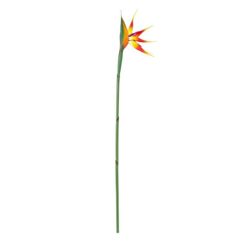 Long Stem Artificial Bird of P - Bird Paradise Strelitzia avaliação e preço