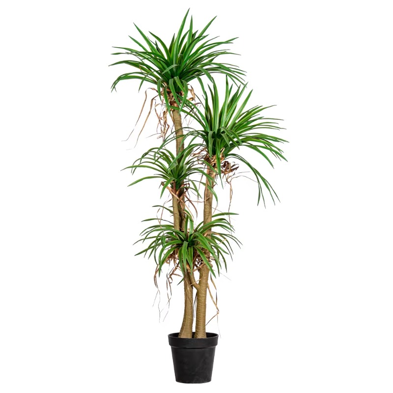 Indoor/Outdoor Home Tree Simul - Dracaena Marginata avaliação e preço