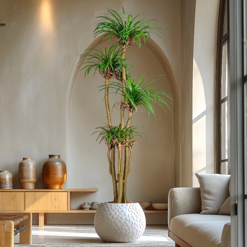 Indoor/Outdoor Home Tree Simul - Dracaena Marginata avaliação e preço