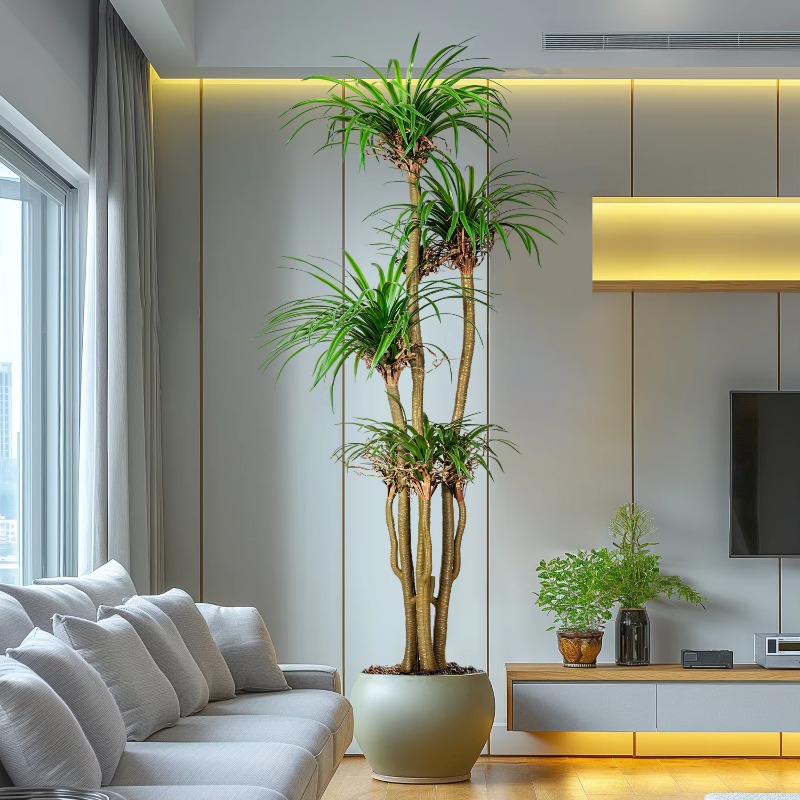 Indoor/Outdoor Home Tree Simul - Dracaena Marginata avaliação e preço