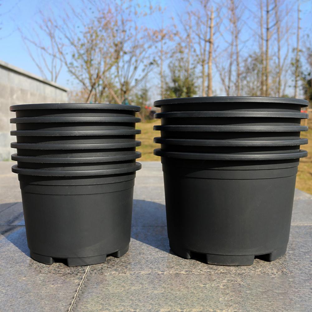 Indoor Plant Pot Black Plastic - Aloe Vera Pot avaliação e preço