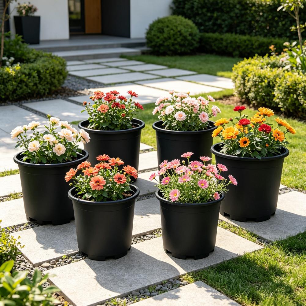 Indoor Plant Pot Black Plastic - Aloe Vera Pot avaliação e preço