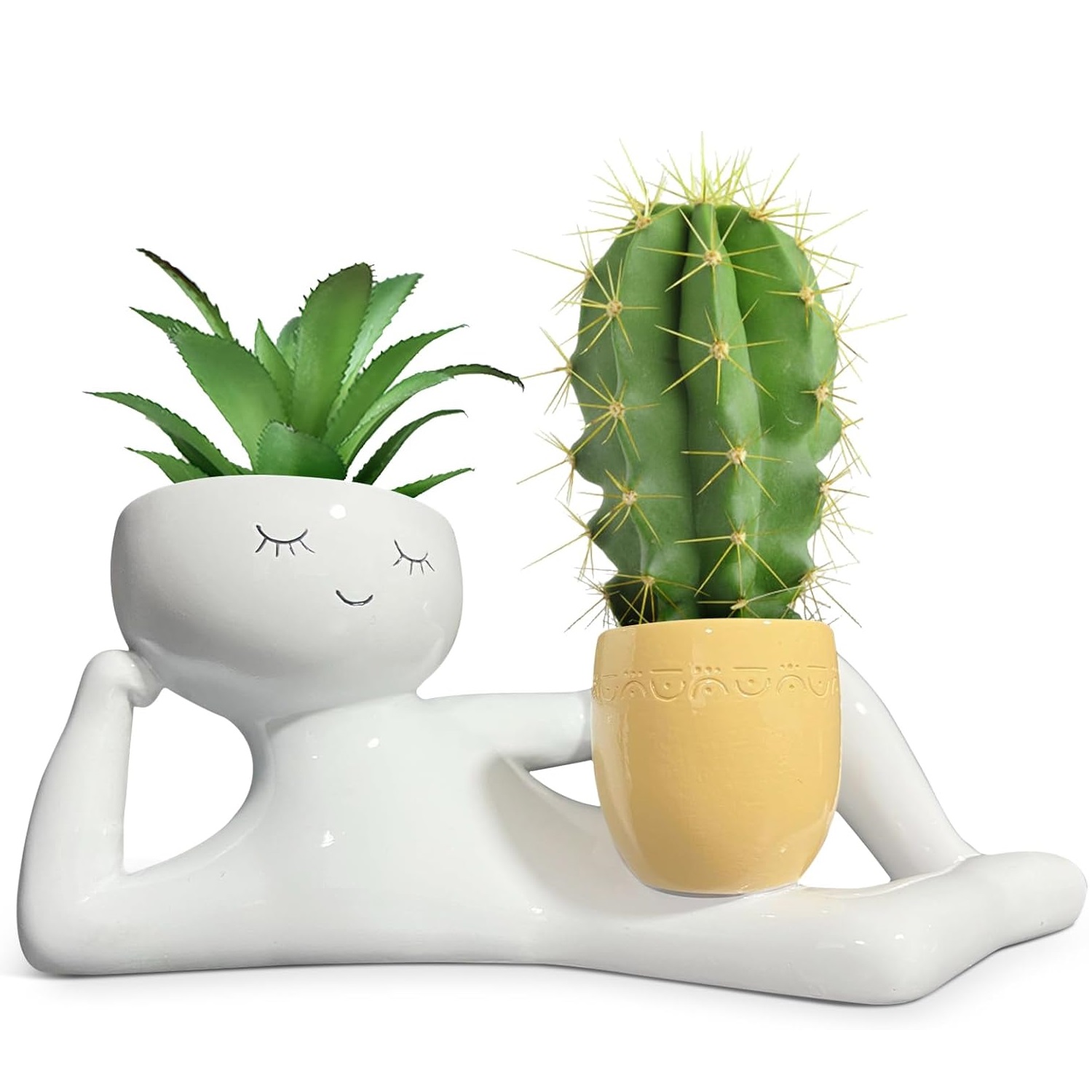 Lazy Little Guy Planter Unique - Echeveria Succulent avaliação e preço
