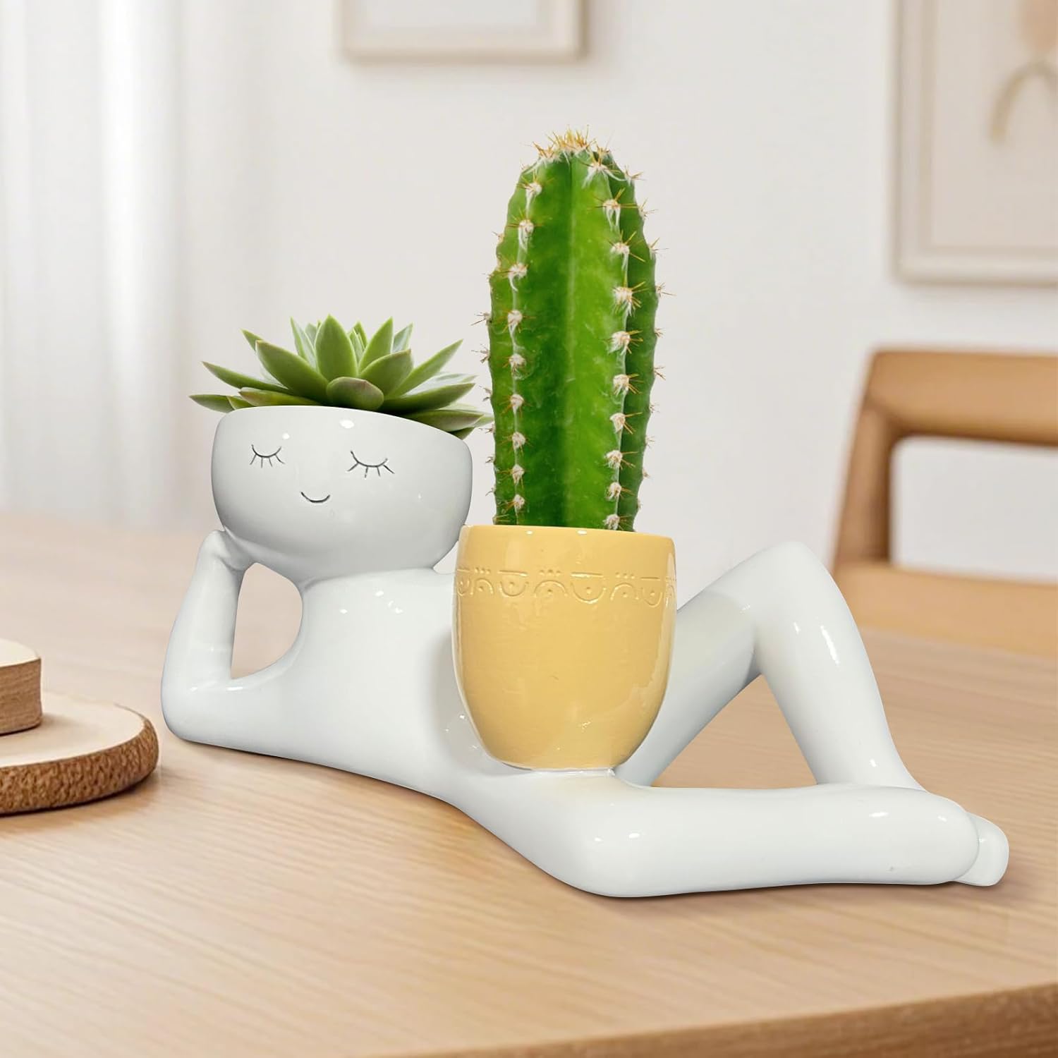 Lazy Little Guy Planter Unique - Echeveria Succulent avaliação e preço