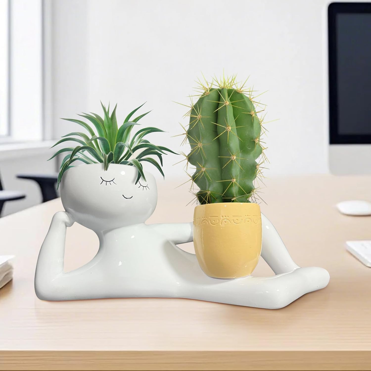 Lazy Little Guy Planter Unique - Echeveria Succulent avaliação e preço