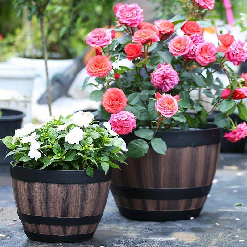 Durable Plastic Round Elegant  - Aloe Vera Pot avaliação e preço