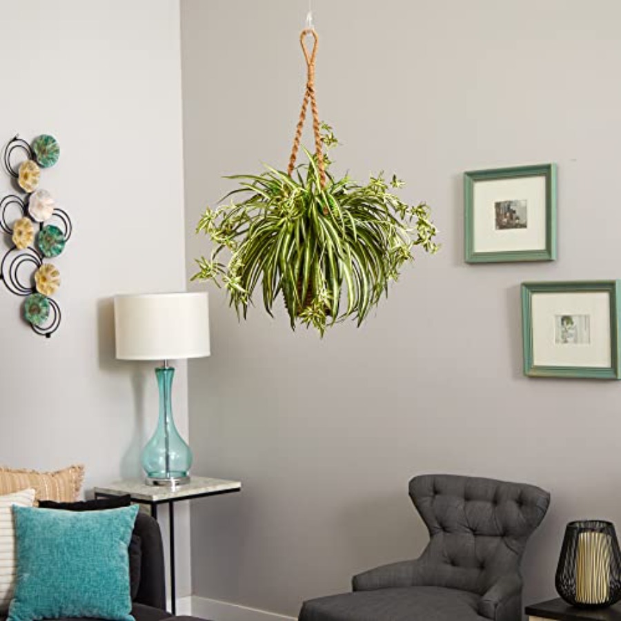 Spider Plant Hanging Basket - Spider Plant Hanging avaliação e preço