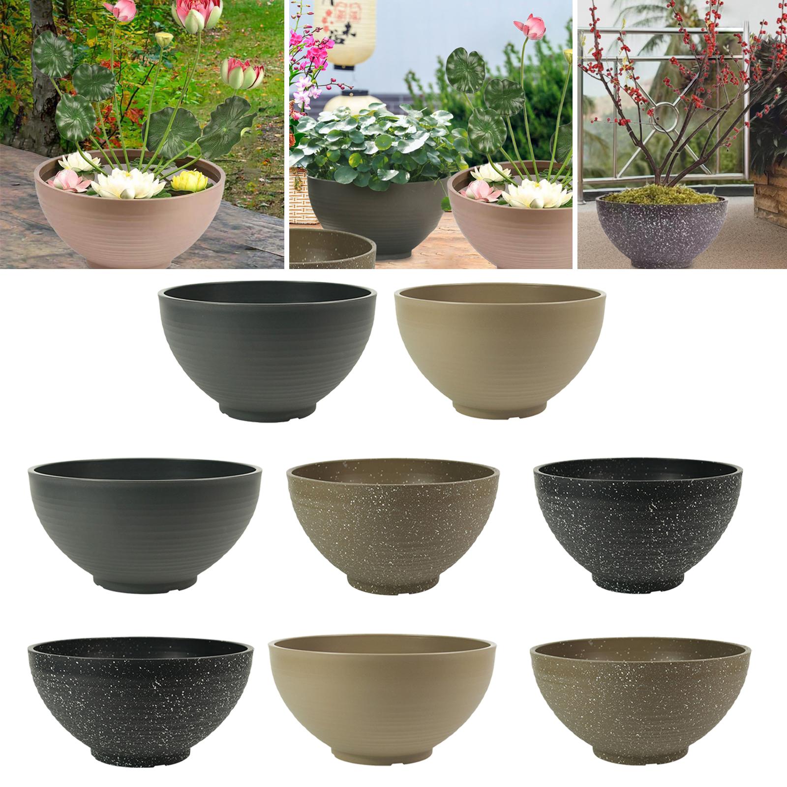 Garden Large-capacity Bowl Pla - Aloe Vera Pot avaliação e preço