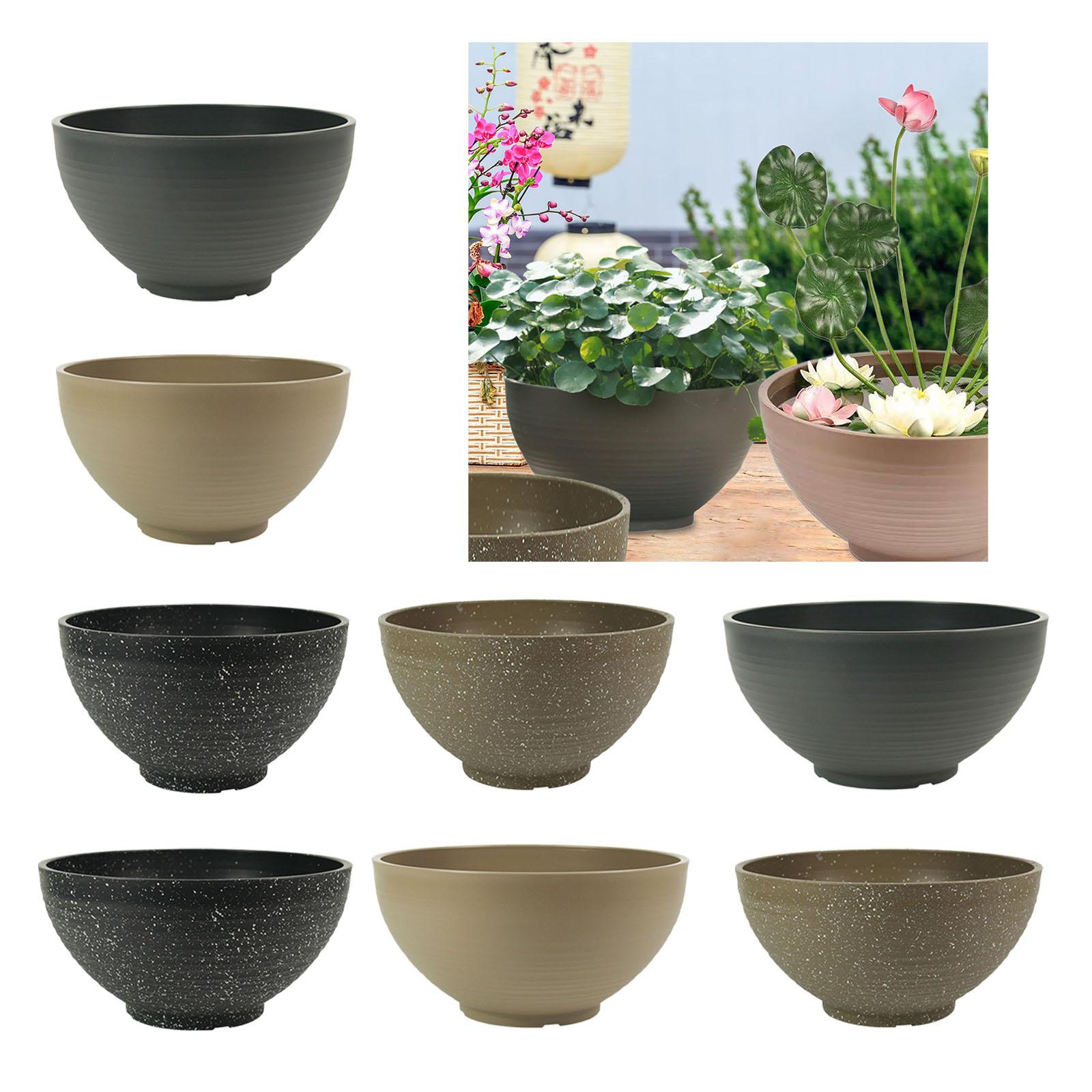 Garden Large-capacity Bowl Pla - Aloe Vera Pot avaliação e preço