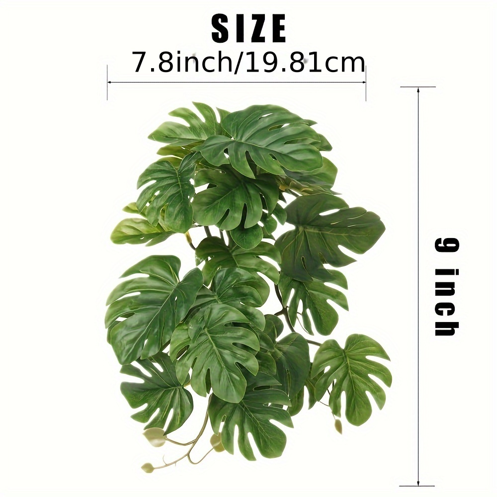 Reptile Plants for Terrarium A - Monstera Adansonii avaliação e preço