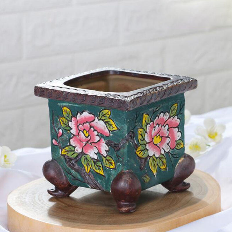 Korean Style Handpainted Flora - Pilea Peperomioides avaliação e preço