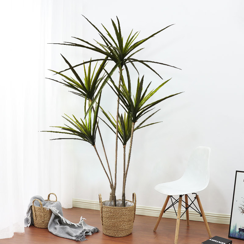 New 90-120cm Artificial Dracae - Dracaena Marginata avaliação e preço