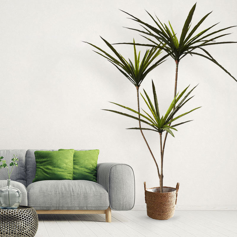 New 90-120cm Artificial Dracae - Dracaena Marginata avaliação e preço