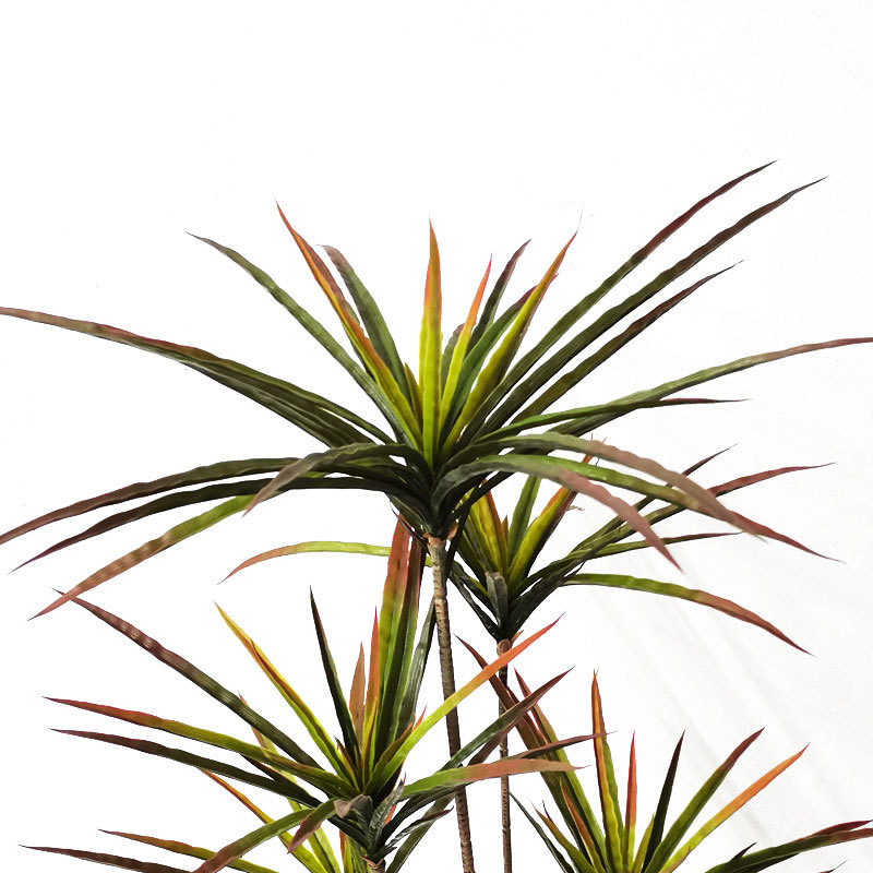 New 90-120cm Artificial Dracae - Dracaena Marginata avaliação e preço