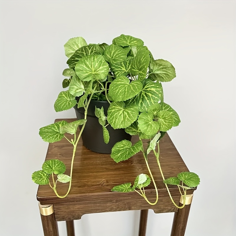 An artificial hanging vine pla - Pilea Peperomioides avaliação e preço
