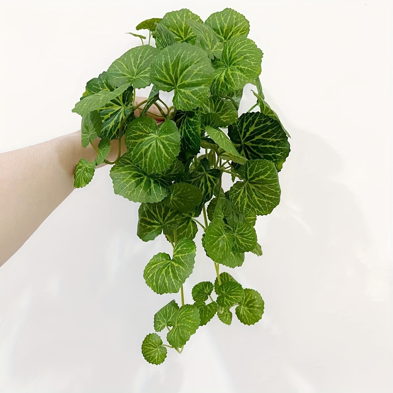 An artificial hanging vine pla - Pilea Peperomioides avaliação e preço