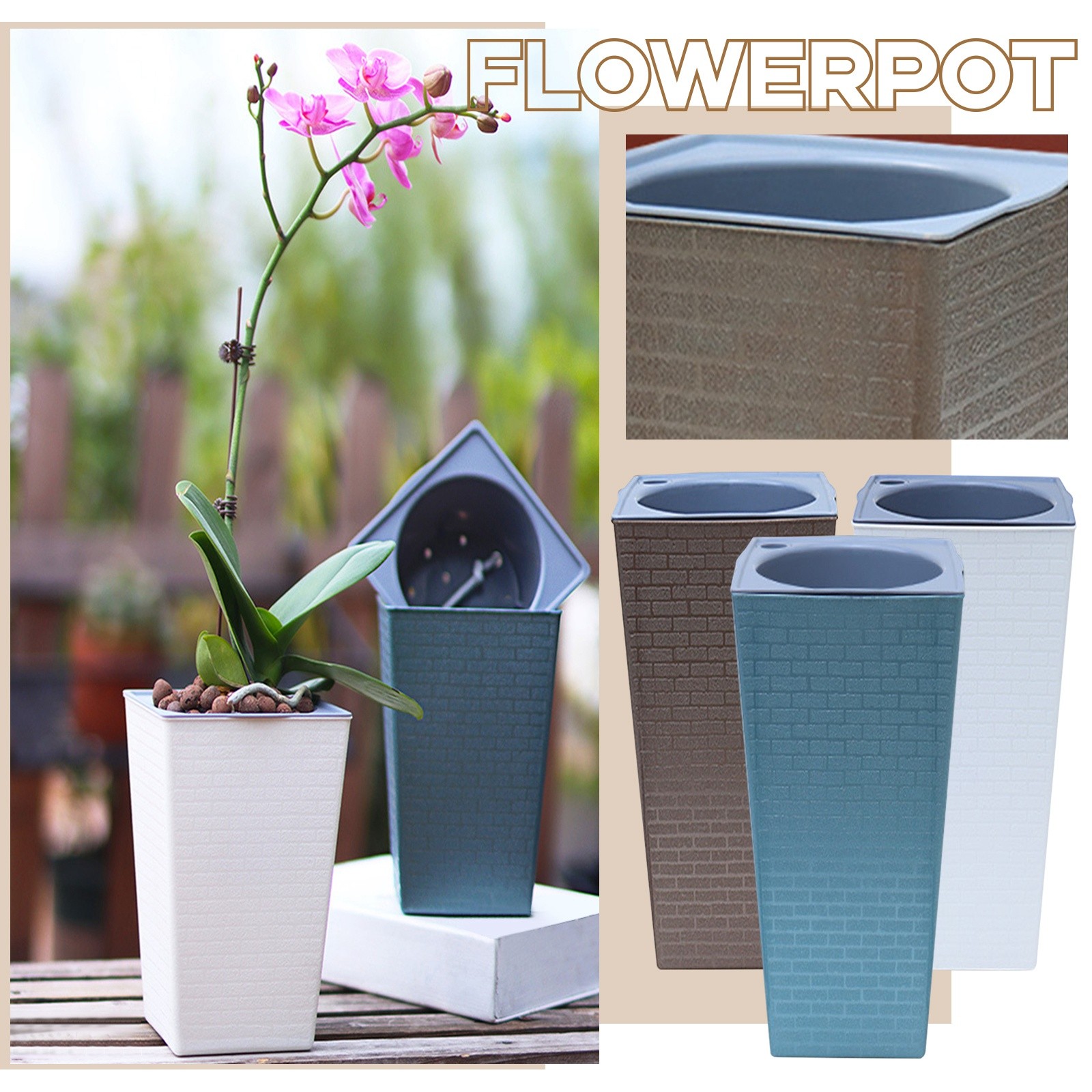 Bonsai-pattern Square Flowerpo - Pilea Peperomioides avaliação e preço