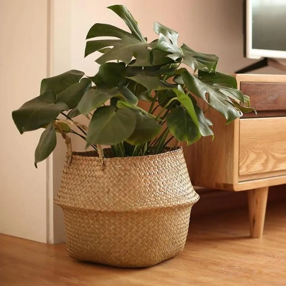 Large Seagrass Wickerwork Bask - Aloe Vera Pot avaliação e preço
