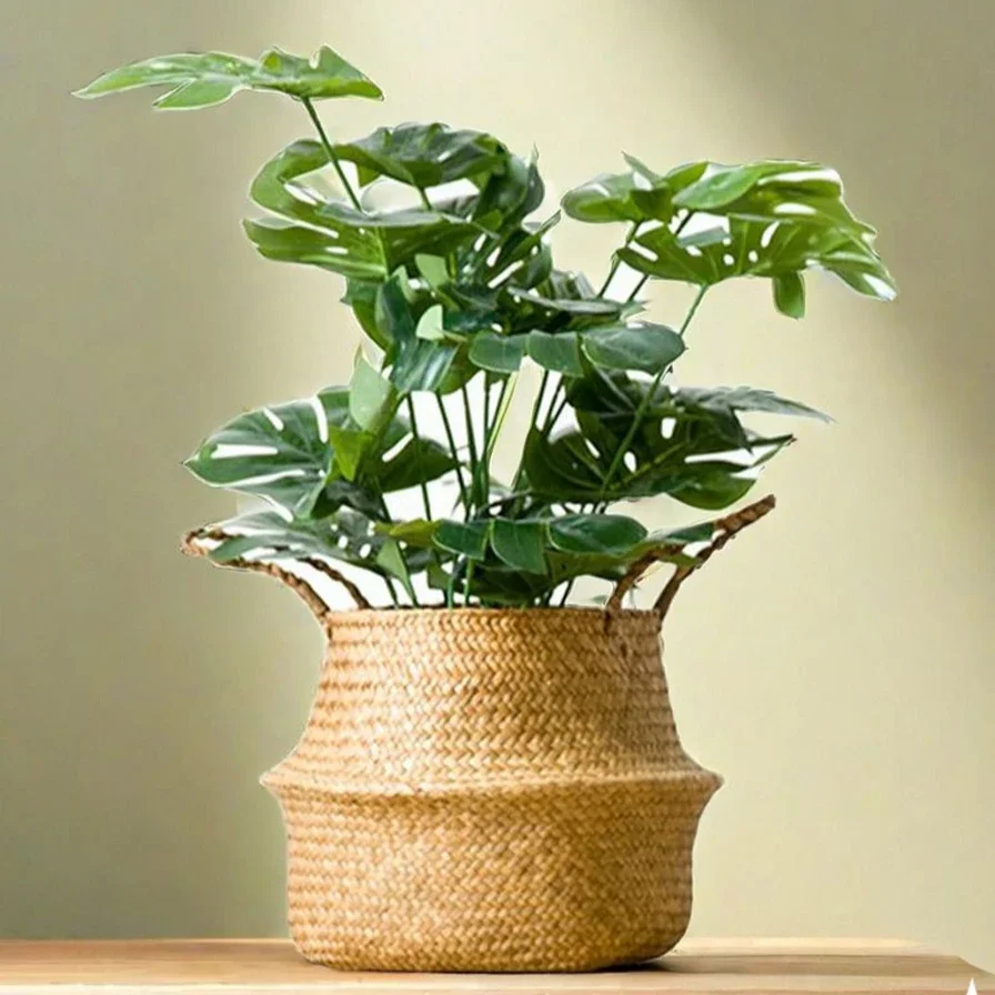 Large Seagrass Wickerwork Bask - Aloe Vera Pot avaliação e preço