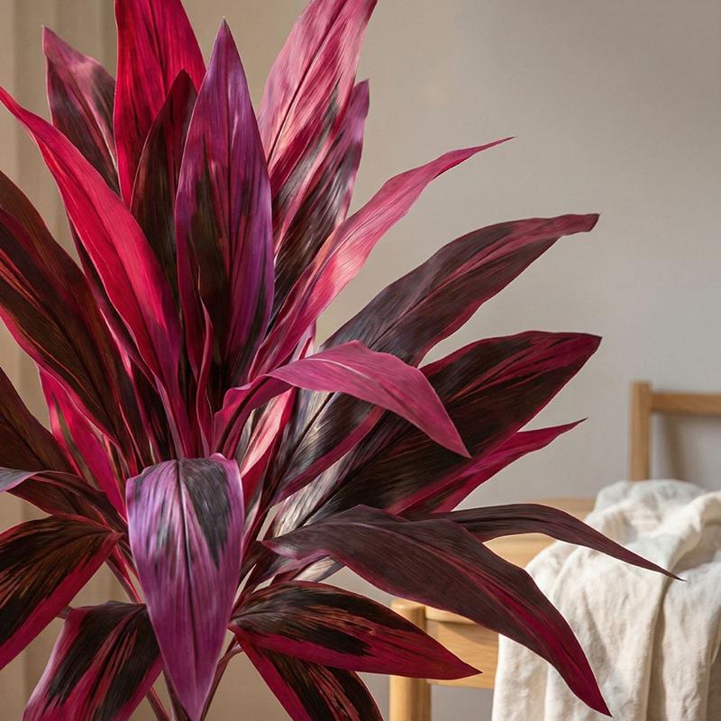 Large Artificial Dracaena Marg - Dracaena Marginata avaliação e preço
