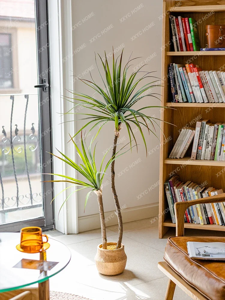 Light Luxury Simulation Green  - Dracaena Marginata avaliação e preço