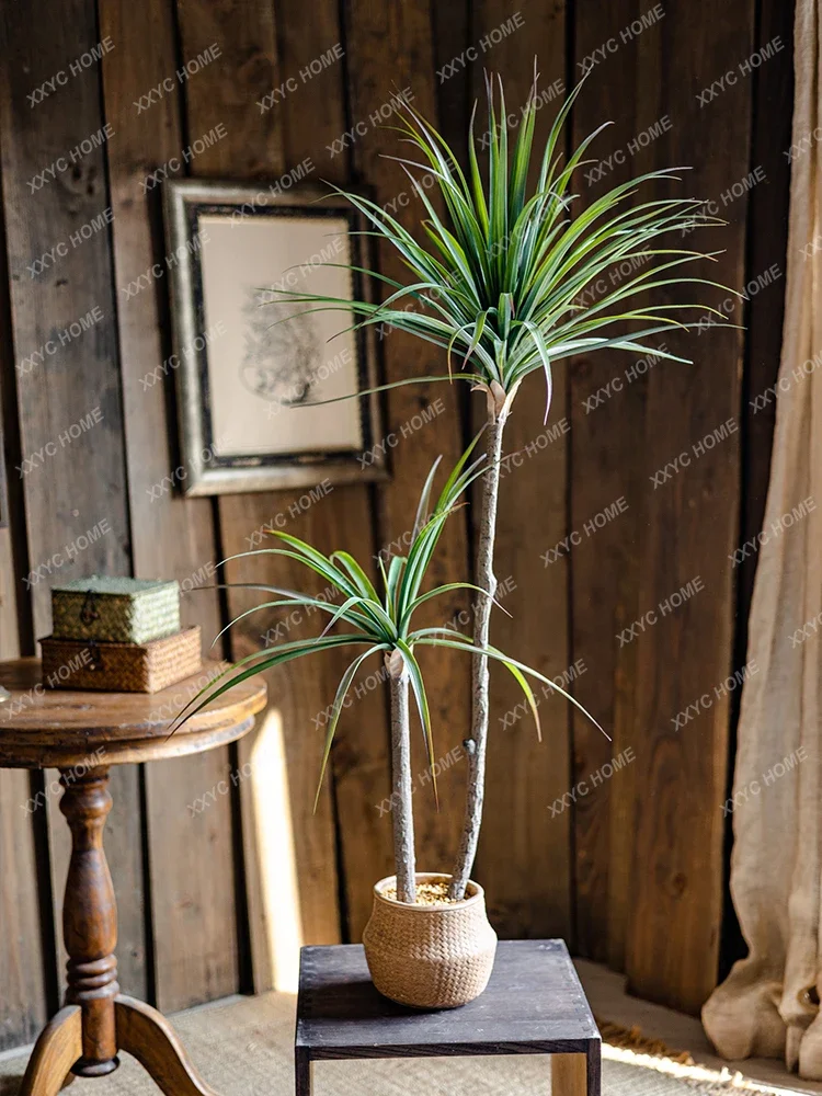 Light Luxury Simulation Green  - Dracaena Marginata avaliação e preço