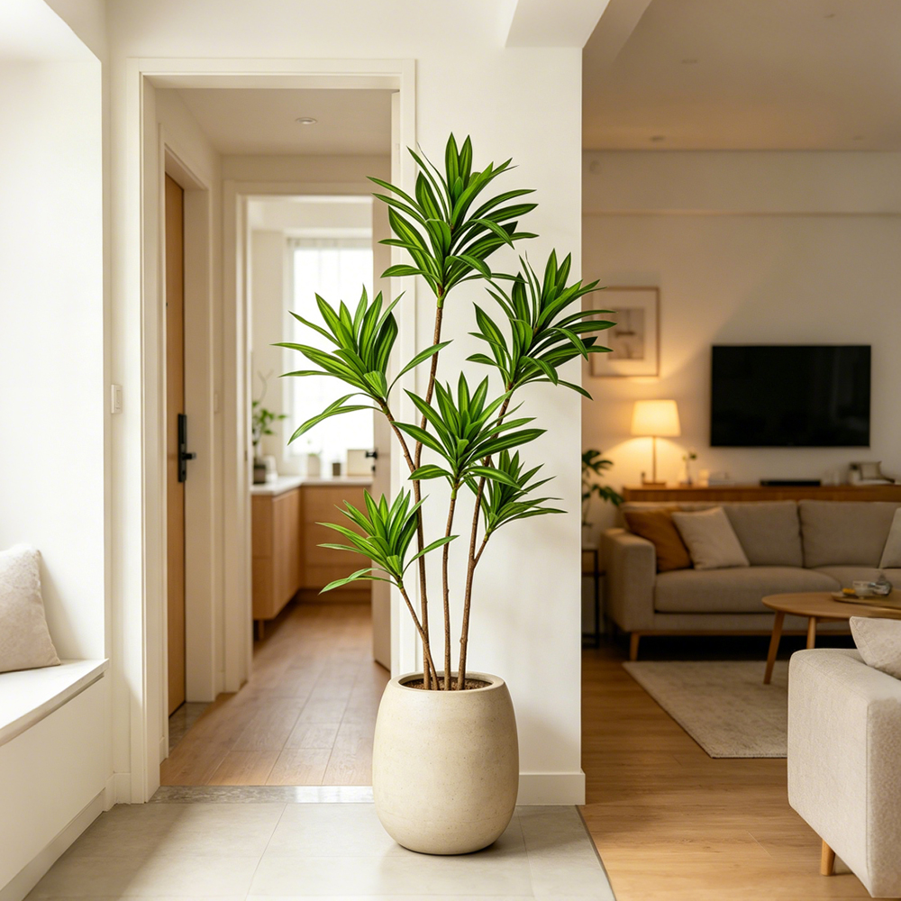 66-98cm Large Artificial Palm  - Dracaena Marginata avaliação e preço