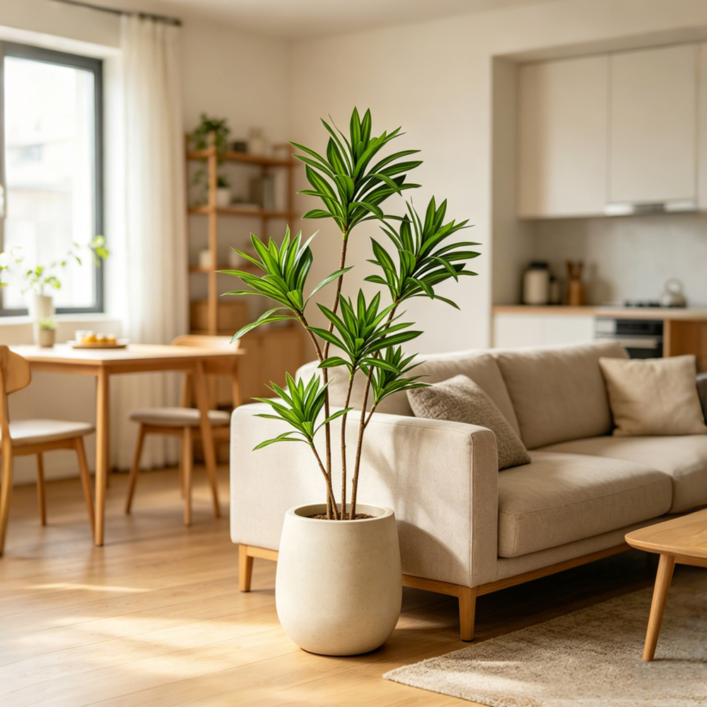 66-98cm Large Artificial Palm  - Dracaena Marginata avaliação e preço