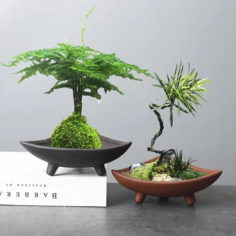 Personalized Ceramic Flower Po - Pilea Peperomioides avaliação e preço