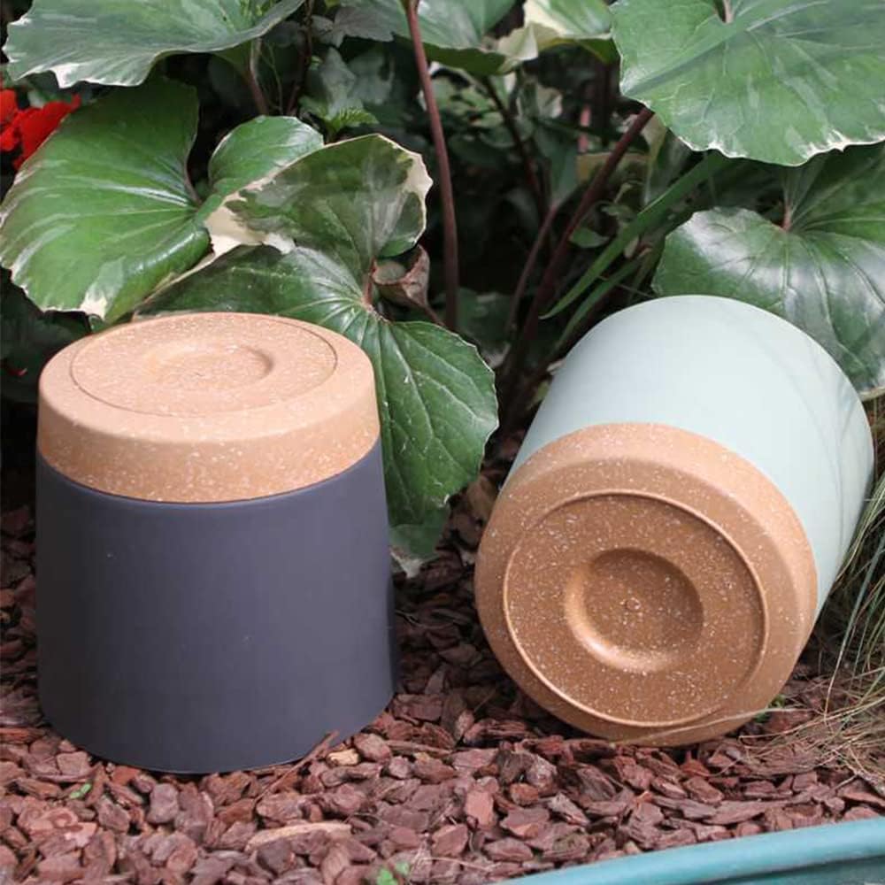 Plant POTS, lightweight large  - Aloe Vera Pot avaliação e preço