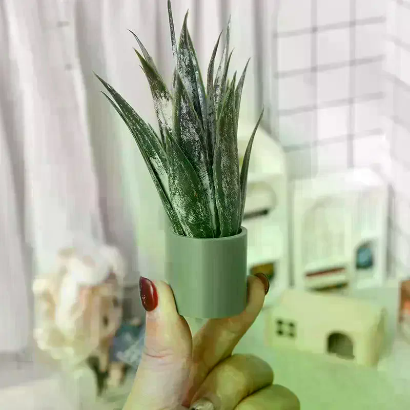 Dollhouse Decor Mini Aloe Vera - Aloe Vera Pot avaliação e preço