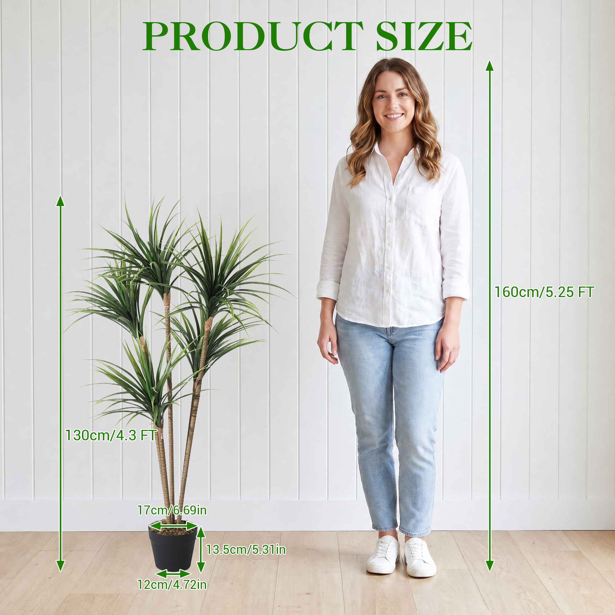 5FT 6FT Artificial Dracaena Ma - Dracaena Marginata avaliação e preço