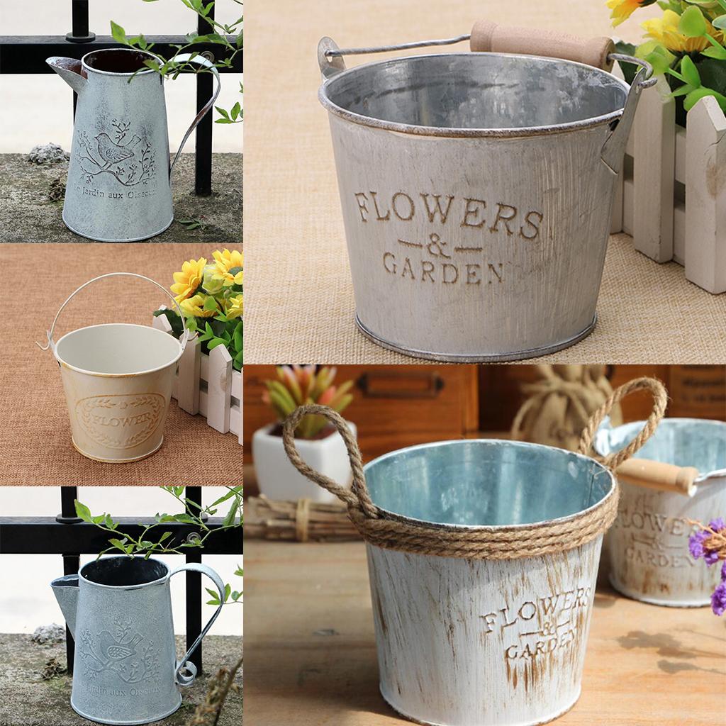 Antique Metal Bucket Herb Flow - Pilea Peperomioides avaliação e preço