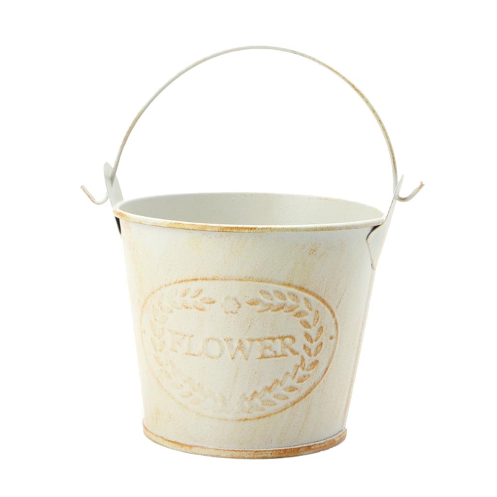 Antique Metal Bucket Herb Flow - Pilea Peperomioides avaliação e preço