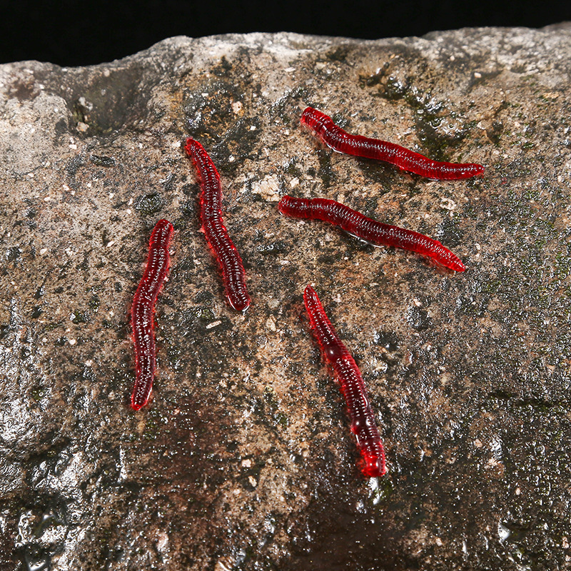 CIBO 50pcs-Artificial Red Worm - Aglaonema Red avaliação e preço