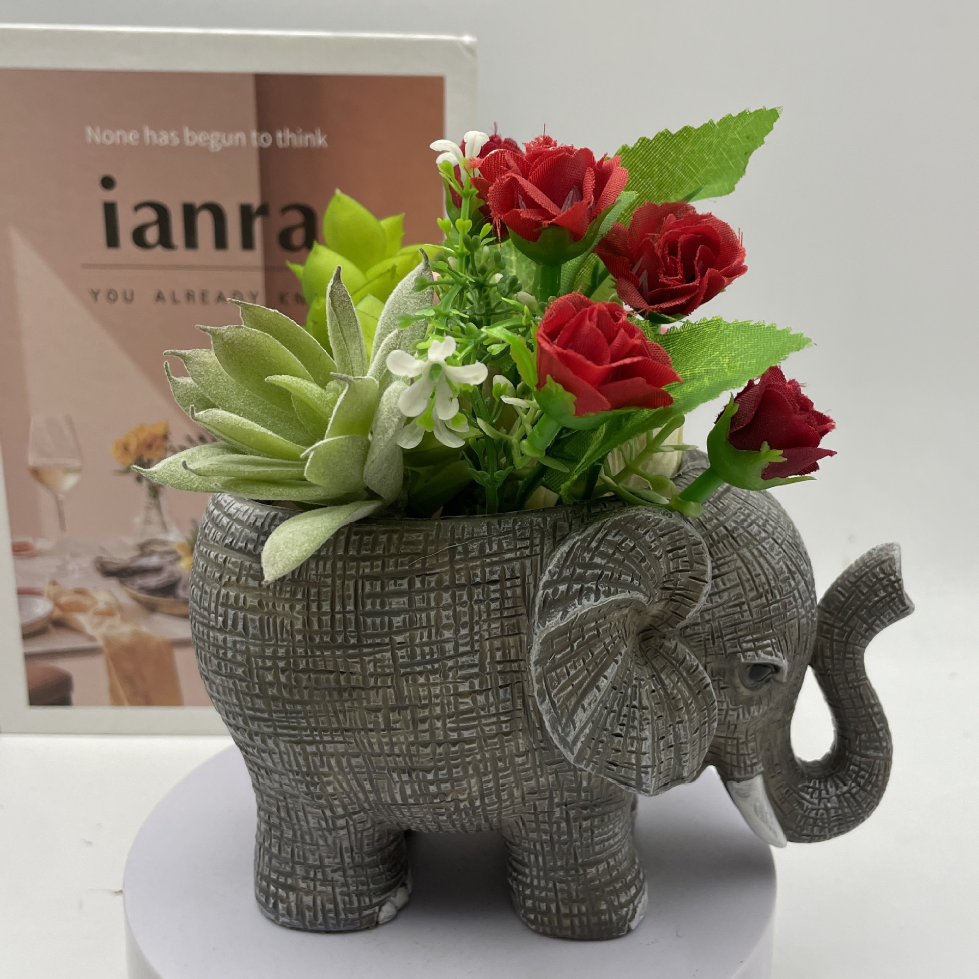 Cute Elephant Resin Succulent  - Echeveria Succulent avaliação e preço