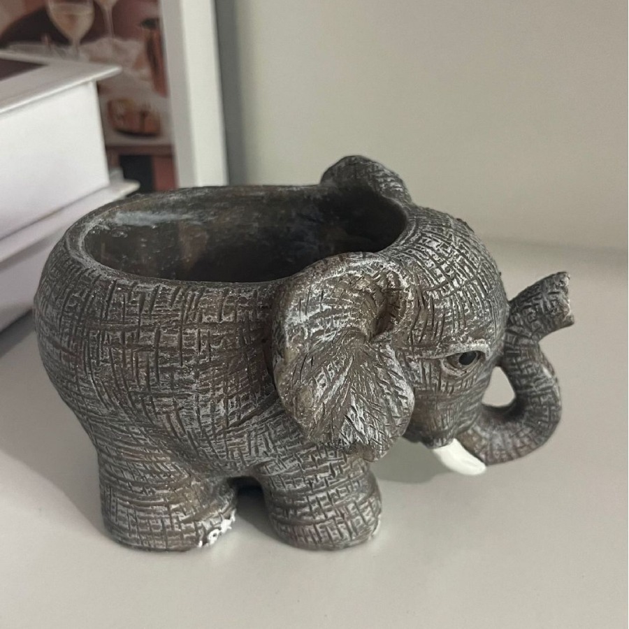 Cute Elephant Resin Succulent  - Echeveria Succulent avaliação e preço