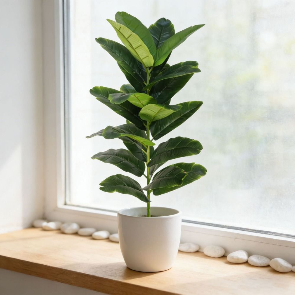 Green Plastic Artificial Ficus - Ficus Lyrata Tree avaliação e preço