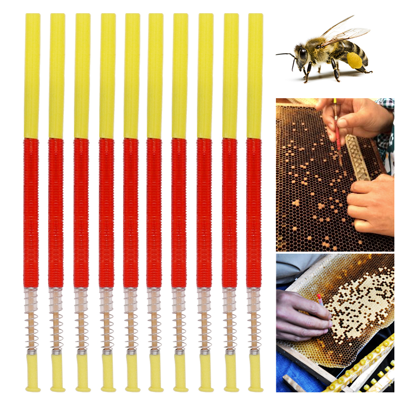 5/10Pcs Beekeeping Grafting To - Begonia Rex avaliação e preço