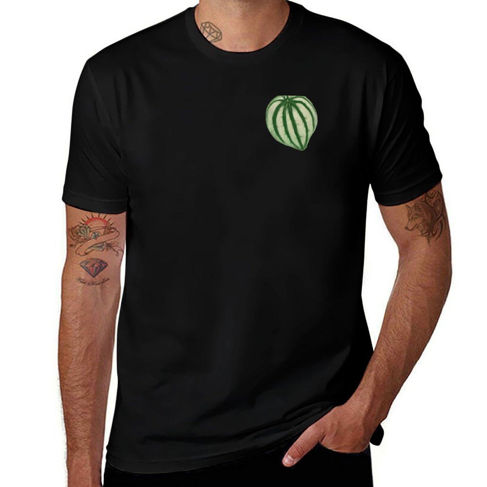 Watermelon Peperomia T-Shirt C - Peperomia Watermelon avaliação e preço