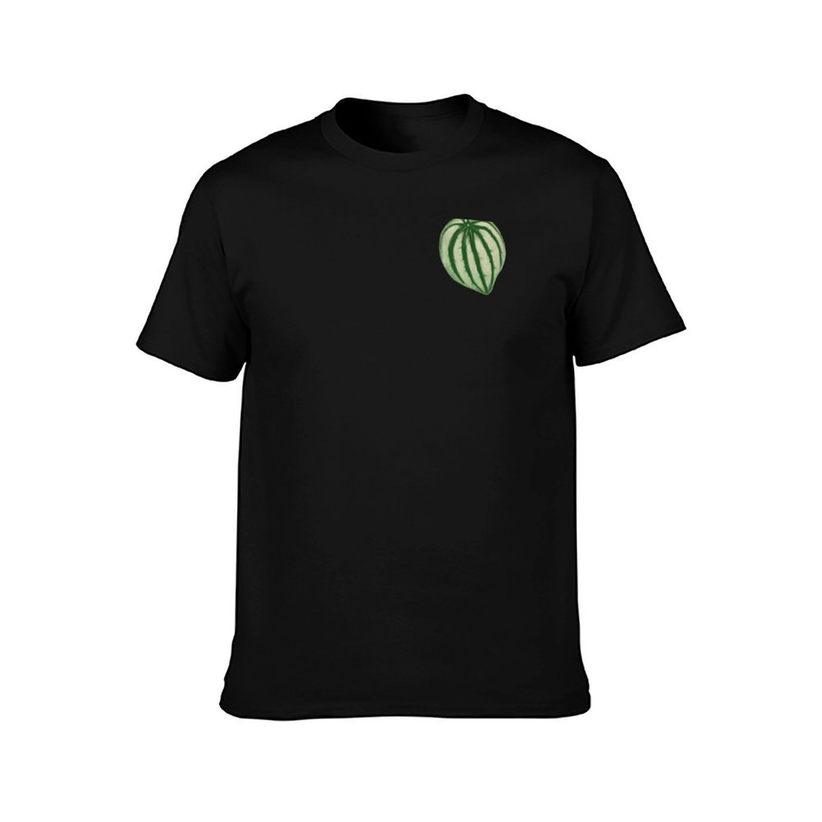 Watermelon Peperomia T-Shirt C - Peperomia Watermelon avaliação e preço