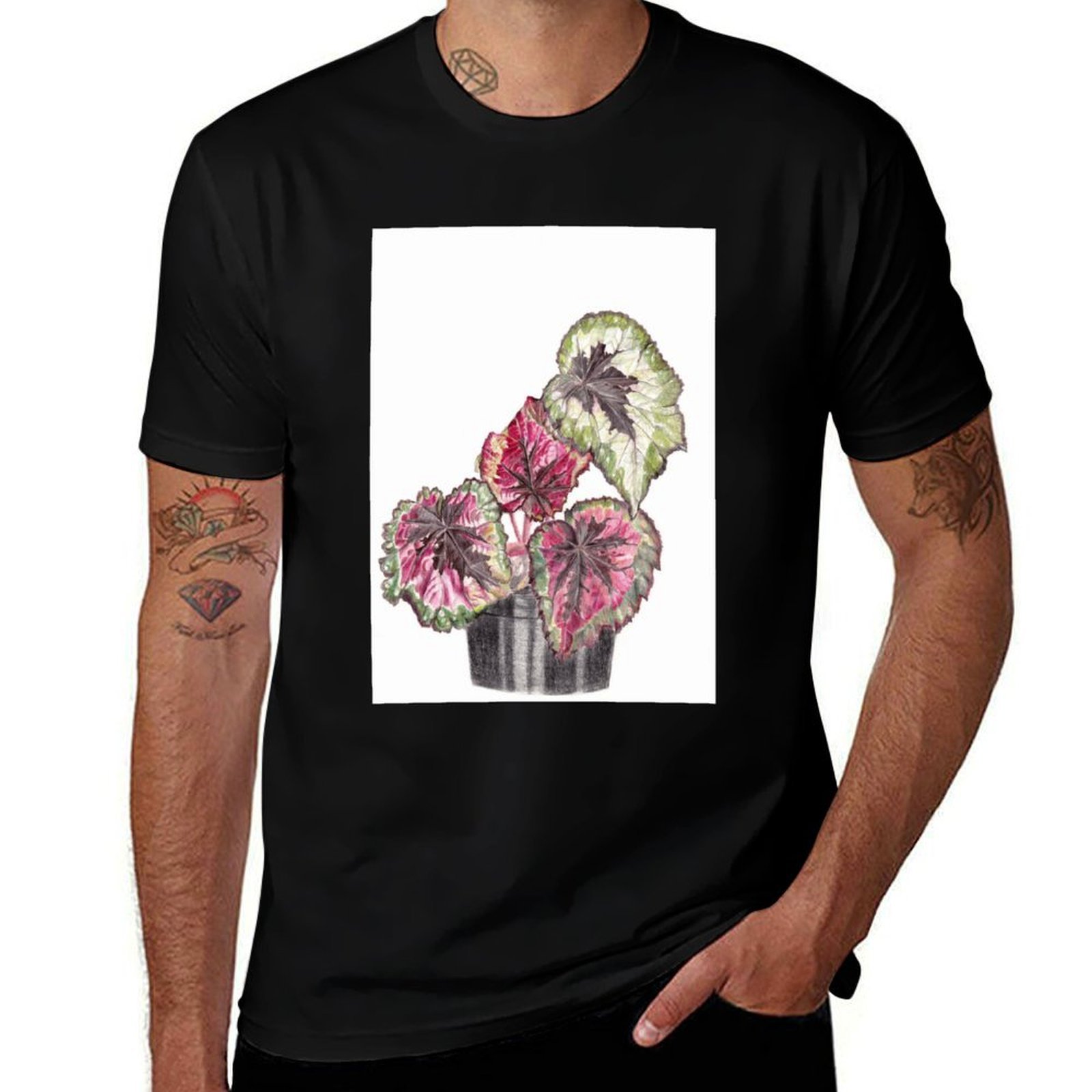 Begonia Rex T-Shirt Simple Gra - Begonia Rex avaliação e preço