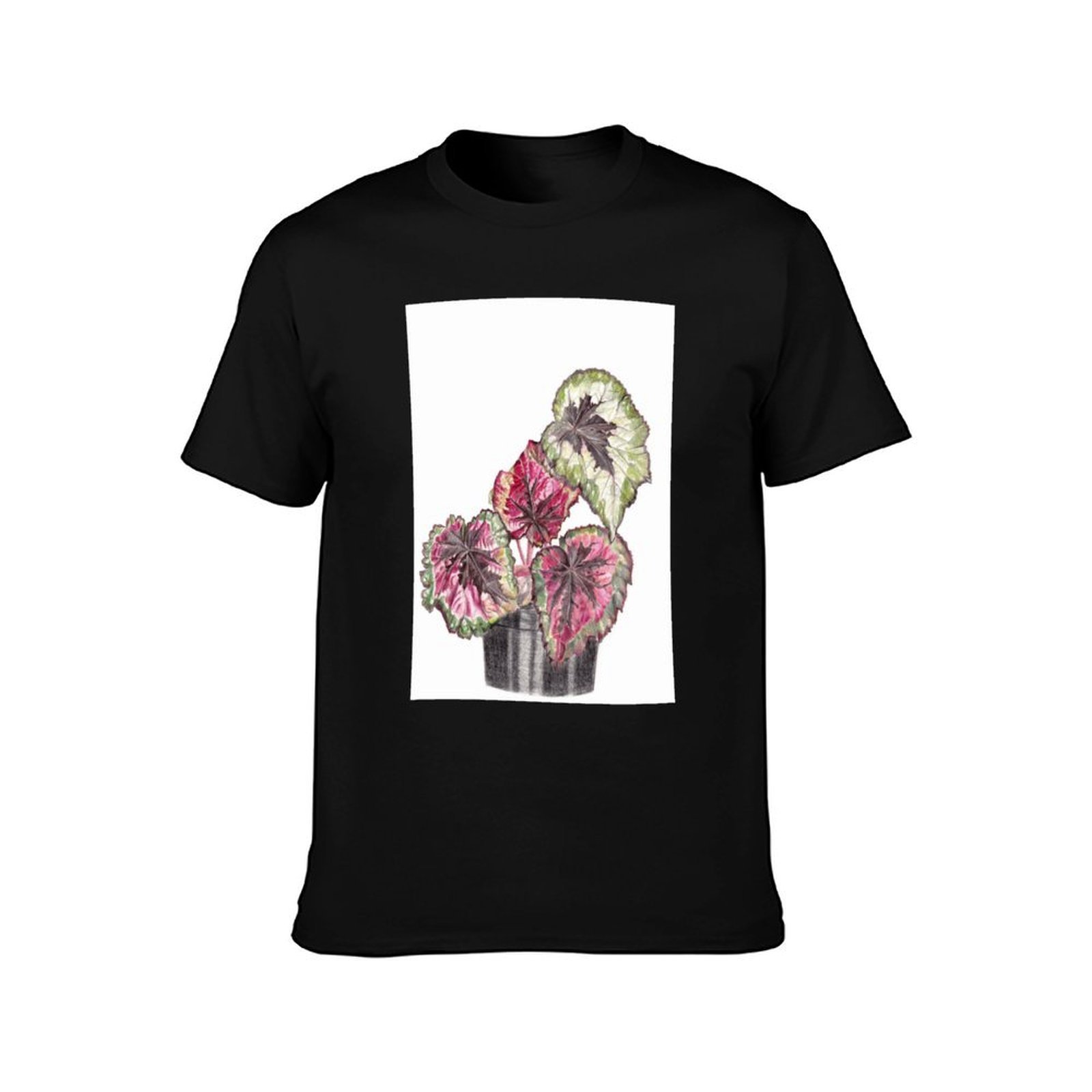 Begonia Rex T-Shirt Simple Gra - Begonia Rex avaliação e preço