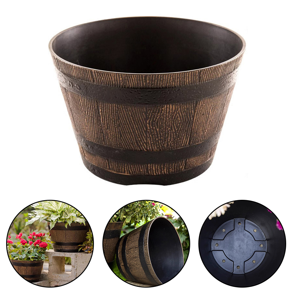 Succulent Flowerpot Lotus Basi - Aloe Vera Pot avaliação e preço