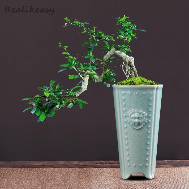 Creative Chinese Ceramic Flowe - Pilea Peperomioides avaliação e preço
