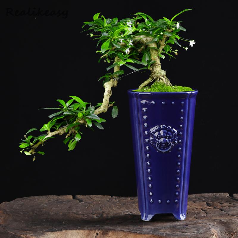 Creative Chinese Ceramic Flowe - Pilea Peperomioides avaliação e preço