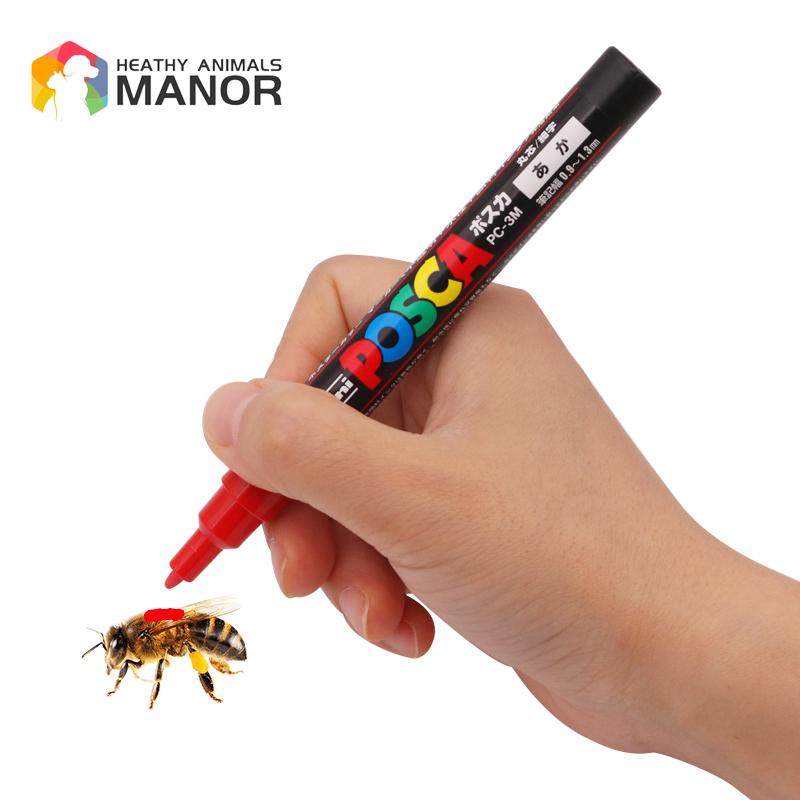 1Pcs Beekeeping Mark Pen Queen - Begonia Rex avaliação e preço