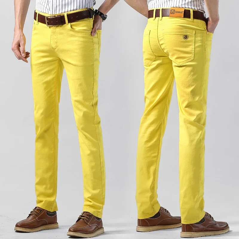 5 Colors Men's Colorful Denim  - Aglaonema Red avaliação e preço
